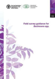Field survey guidance for Bactrocera spp. by IPPC