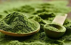 Algae