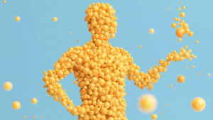 The vital, overlooked role of body fat in shaping your health and mind