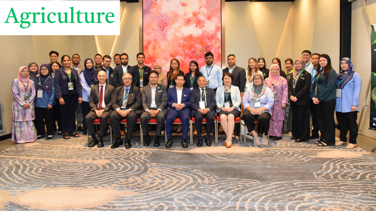 Rubber pests identification by participants and experts at Malaysian Rubber Board