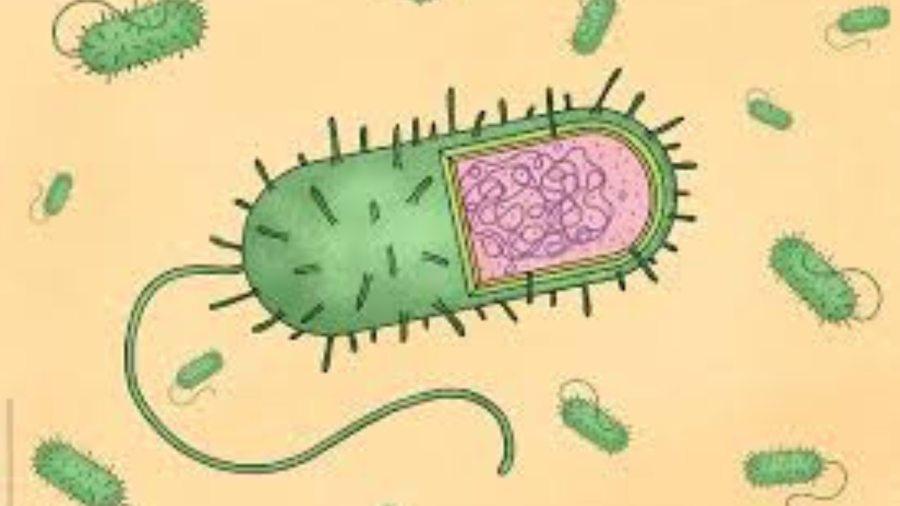 ফিচার ছবি-ব্লগ (21)