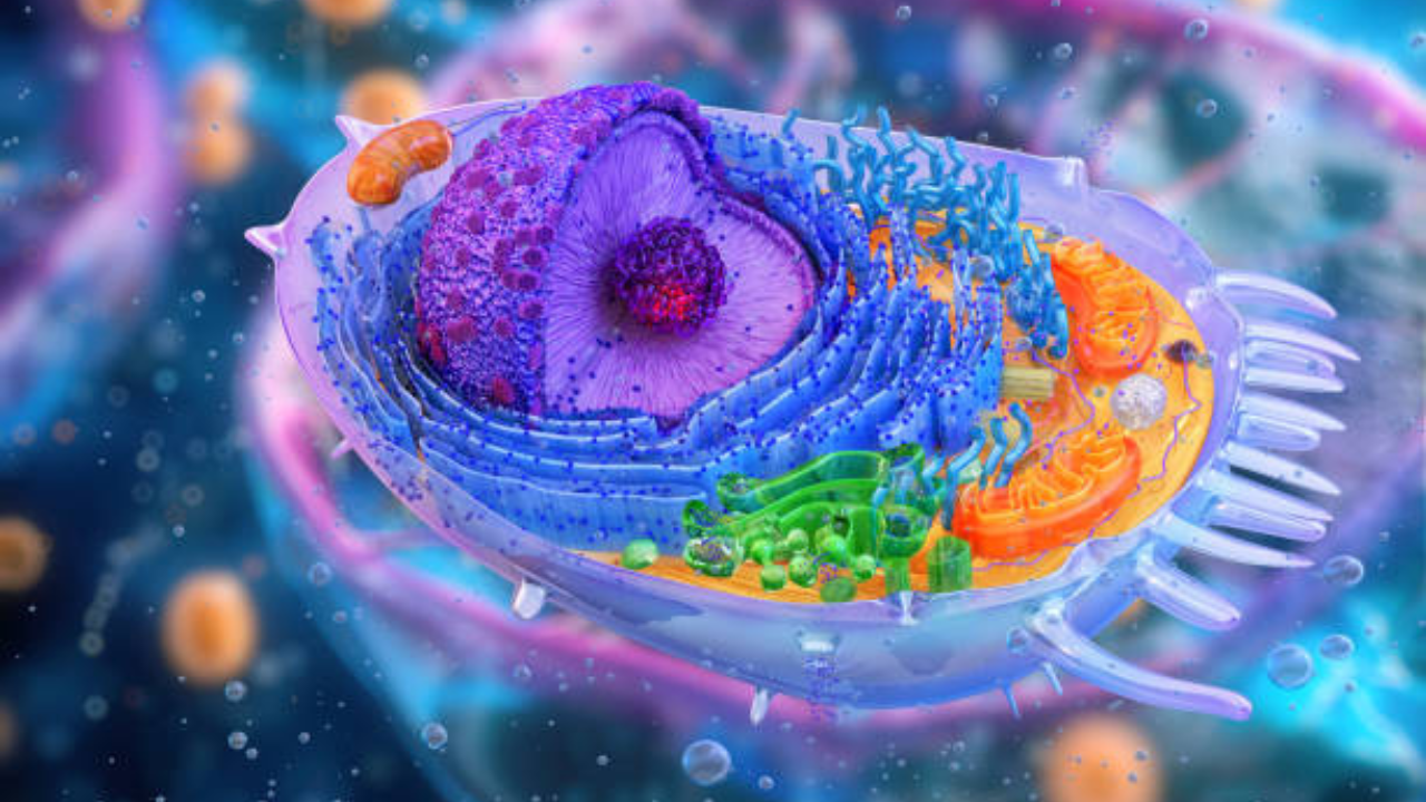 ফিচার ছবি-ব্লগ (24)