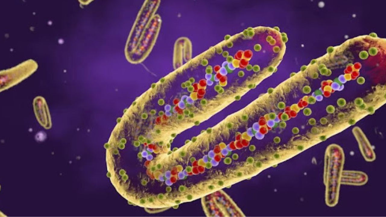 ফিচার ছবি-ব্লগ (6)